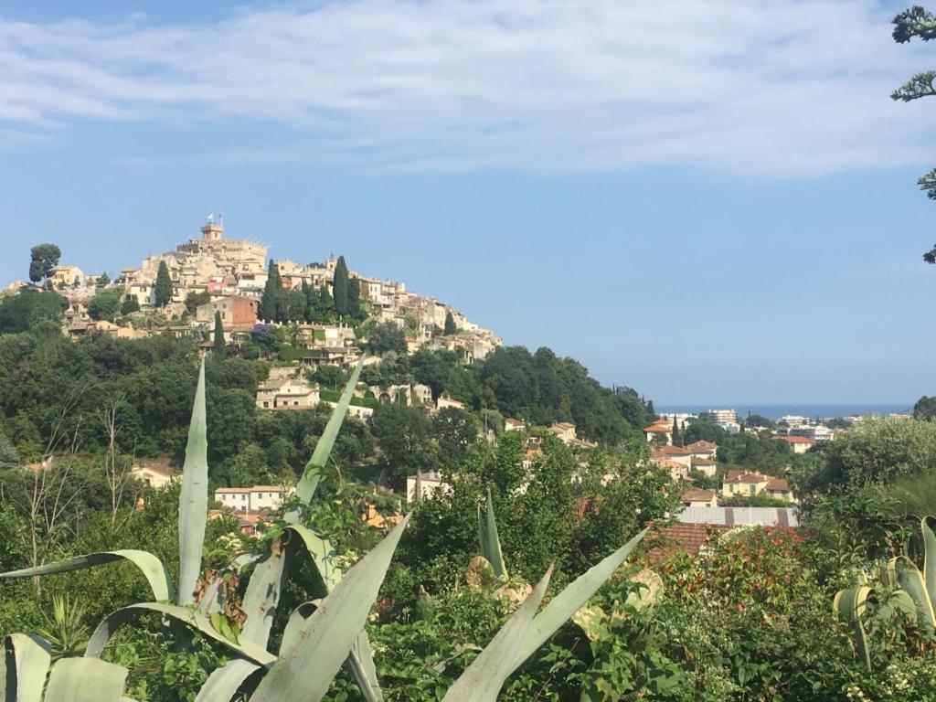 Villa Les Yuccas - Pool - Sea View Cagnes-sur-Mer Exterior foto